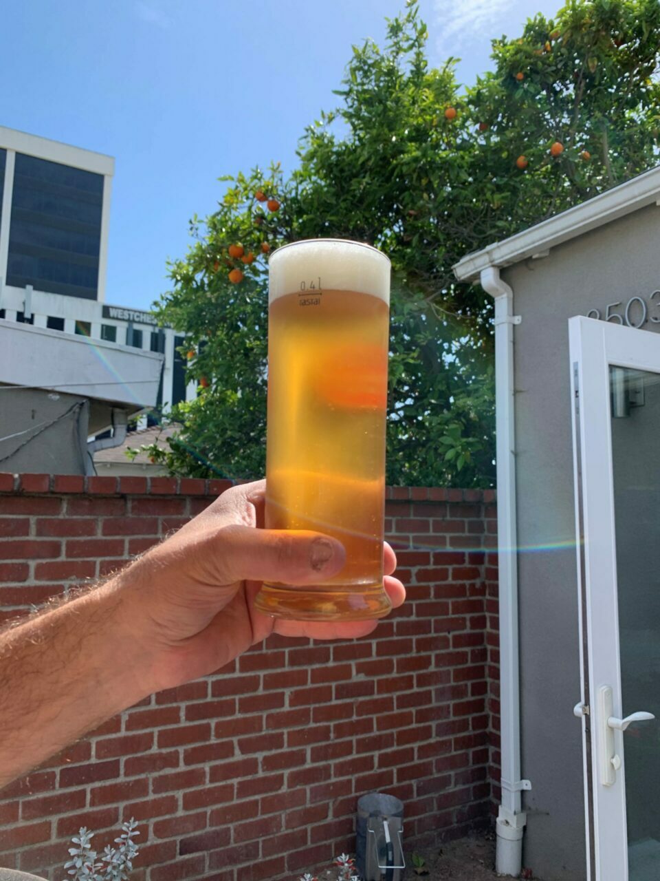 Kölsch Bier